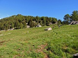 Alpe Agro Fuori (mt.1797)